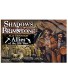Fantasy Flight Games FFP07A01 Old West Ally Expansion: Shadows of Brimstone Multicoloured
