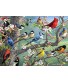 Buffalo Games Hautman Brothers Birds in an Orchard 1000 Piece Jigsaw Puzzle