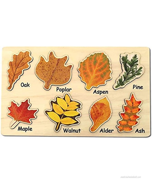 Leaf Wooden Jigsaw Puzzles Educational Learning Stem Toys Boys Girls Birthday Gift Colorful Shape