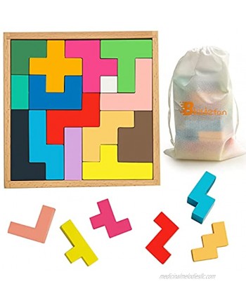 Biekiefan 3D Wooden Brain Teaser Puzzles. Set 15 Multi Shapes Building Blocks. Educational Learning Puzzle for Kids and Adults. Intelligence Developing Game and Stress Relief Toys