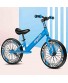 WWFAN Boys Bike 16 Inch Kids Bike Ages 5-9 Kids Lightweight Bikes Youth Mountain Bike No Pedal Beginner Training Bicycle with Air Tire Safe Secure Color : Blue
