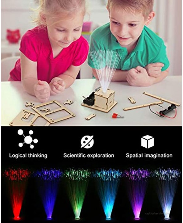 4 in 1 STEM Kit Wooden Construction Science Projects Assembly Mechanical Models 3D Building Blocks DIY Ferris Wheel Carousel Model Nightlight Lantern Educational Toys for Boys and Girls