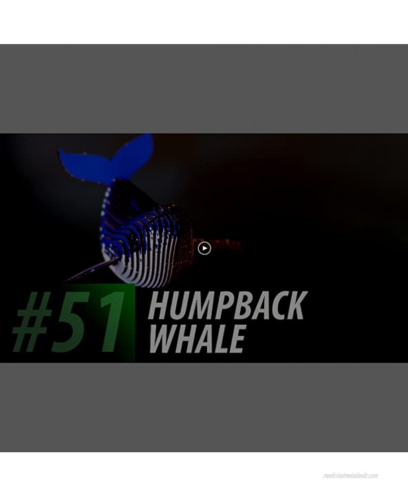 EUGY 051 Humpback Whale Eco-Friendly 3D Paper Puzzle [New Seal]