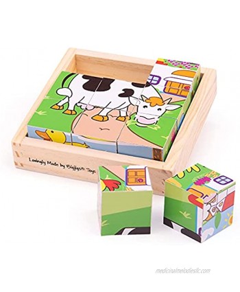 Bigjigs Toys Animal Cube Puzzle
