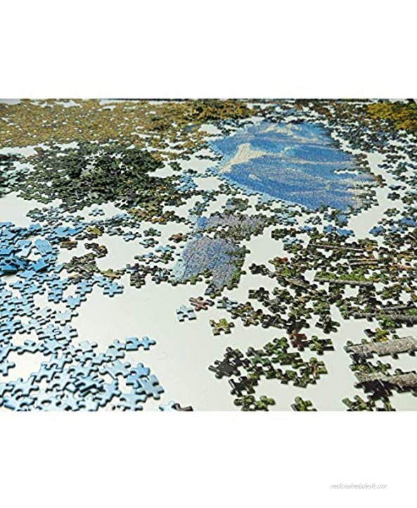 Adult Children Jigsaw Puzzles Intellective Educational Toy Nature Landscape Trees Lake Water 500 1000 1500 2000 3000 4000 5000 6000 Pieces 0224 Color : No partition Size : 2000 Pieces