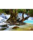Forest Waterfall Jigsaw Puzzles Adult Kids Decompression Game Puzzle Home Wall Decoration 500 1000 1500 2000 3000 4000 Pieces 0109 Color : Partition Size : 500 Pieces