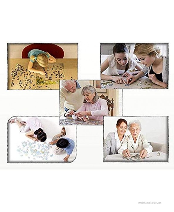 Jigsaw Puzzles Adult Children Educational Toys Family Interactive Games Guitar Boy On The Lawn 500 1000 1500 2000 3000 Pieces 0116 Color : No partition Size : 3000 Pieces