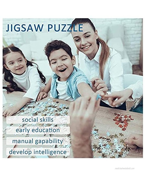 Jigsaw Puzzles Adult Children's Educational Entertainment Leisure Toys Retro Street Lights 500 1000 1500 2000 3000 4000 Pieces 0116 Color : Partition Size : 3000 Pieces