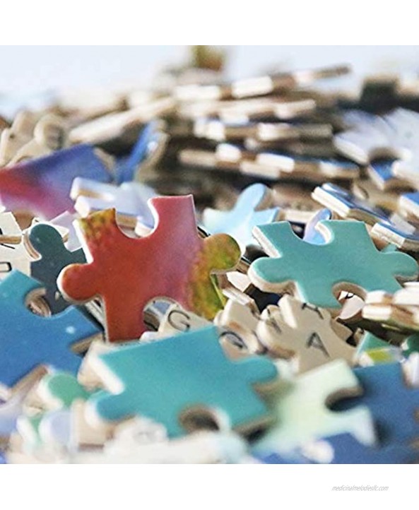 Jigsaw Puzzles Turkey Natural Landscapes Adult Children Entertainment Games Decompression Toys 500 1000 1500 2000 Pieces 0109 Color : Partition Size : 1500 Pieces