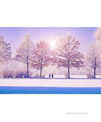 Winter Natural Landscape Jigsaw Puzzle Educational Intellectual Fun Game for Kids Adults 500 1000 1500 2000 3000 4000 5000 6000 Pieces 0122 Color : Partition Size : 5000 Pieces