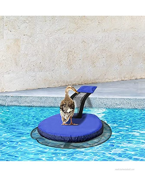 PINWATT 2 Pack Animal Saving Escape Ramp Critter Escape Device for Frogs Toads Lizards Ducks Snakes Squirrel Chipmunk Swimming Pool AccessoriesBlue