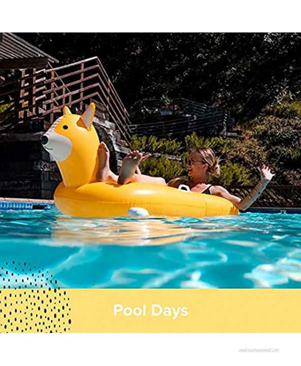 The Corgi Floatie Corgi Pool Float by KANYAN. Giant Inflatable Dog Pool Float Dog Float. Funny Pool Floats Party Float