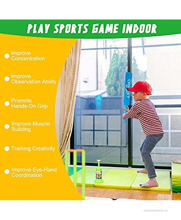 Playtron Kids Cricket Set Gift for Outdoor Garden Backyard Beach Kids Christmas Birthday Playing Gifts ABS Cricket Play Toys Creative Sports Game Set for Boys and Girls