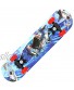 Zhong Skateboards 23 Inch Pro Skateboard Complete for Girls Boys,Skateboards for Kids Ages 6-12Shark