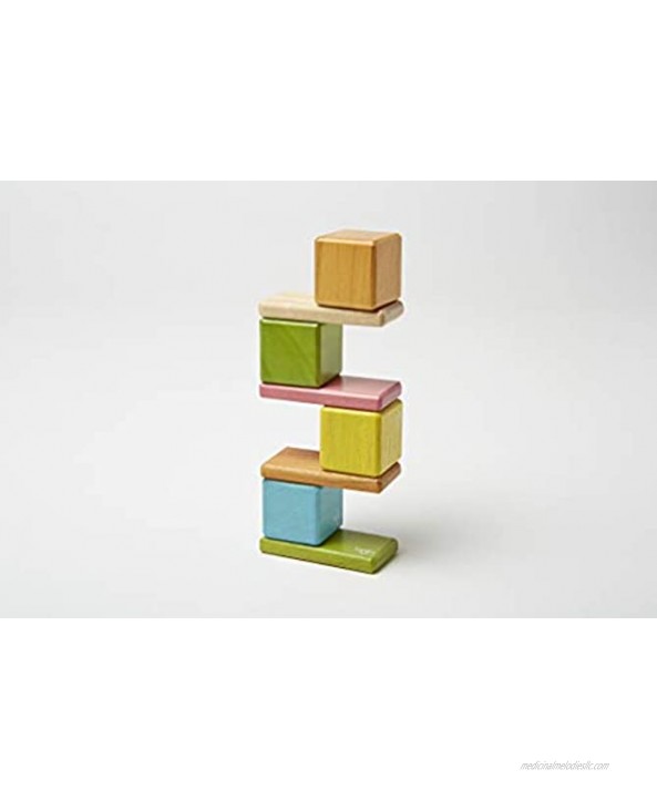 8 Piece Tegu Pocket Pouch Magnetic Wooden Block Set Tints