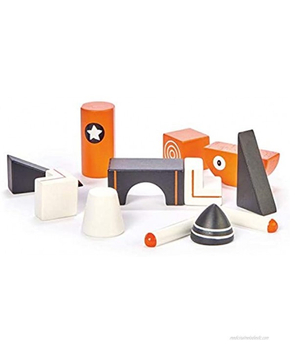 Tender Leaf Toys Magblocs Magnetic Building Blocks Multi-Directional Magnets with Storage Bag