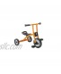 Childcraft Tricycle 10 Inches