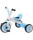 LIYANSHENGDQ Kids' Tricycles Pedal Tricycle Magnesium Alloy Frame Children 3 Wheels Adjustable Seat for 2-6 Years Kids and Toddlers 90-120 cm,Blue Color : A