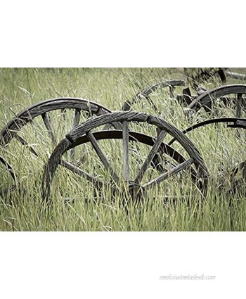 Posterazzi Collection Ole Wagon Wheels II Poster Print by Kathy Mahan 36 x 24